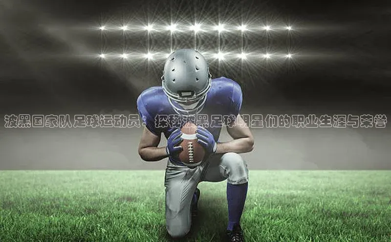 乐虎一登录华策影视波黑国家队足球运动员：探秘波黑足球明星们的职业生涯与荣誉