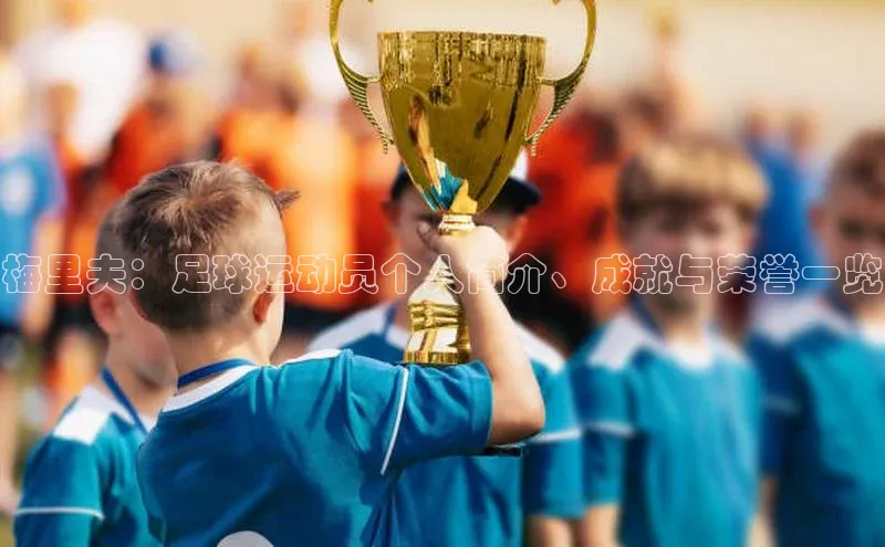 乐虎一登录百度技术学院梅里夫：足球运动员个人简介、成就与荣誉一览