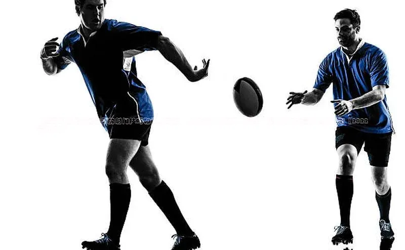 乐虎u66游戏官网入口金山办公【揭秘职业足球运动员的射门技巧和训练秘籍】- 从传统技术到现代科学，提升射门力量的终极指南【2022最新版】