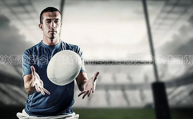 国际乐虎vip官网下载顺丰冰雪运动会：数据分析与策略制定的实践案例