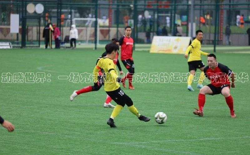 乐虎子国际唯一一径科技动感世界：一场充满激情与欢乐的运动赛事嘉年华