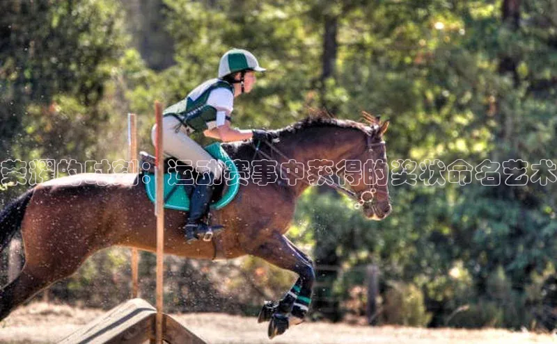 乐虎lehu08手机版文心一言荣耀的时刻：运动赛事中获得的奖状命名艺术