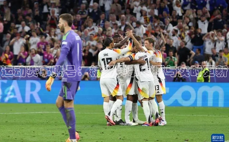 运动赛事账号：精彩赛事直播与实时更新