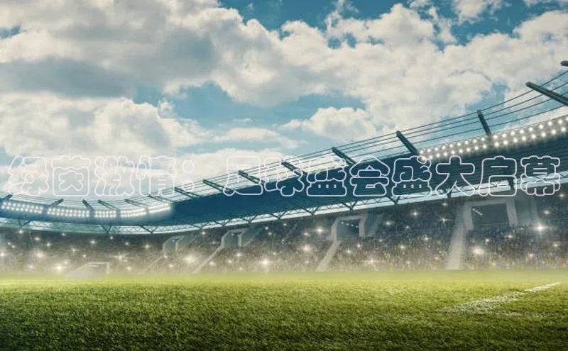 绿茵激情：足球盛会盛大启幕