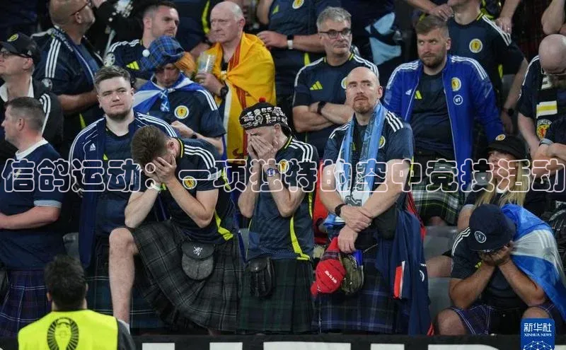 信鸽运动：一项独特的空中竞技活动