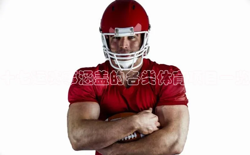 十七运赛事涵盖的各类体育项目一览