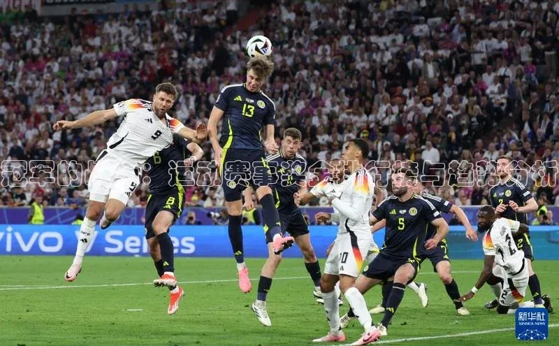 冠军的战场：运动赛事奖金排行榜与趋势分析