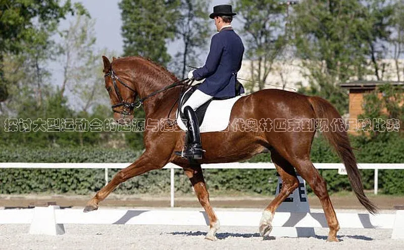 探讨大型运动会的起源与演变：从古代奥林匹克到现代足球比赛