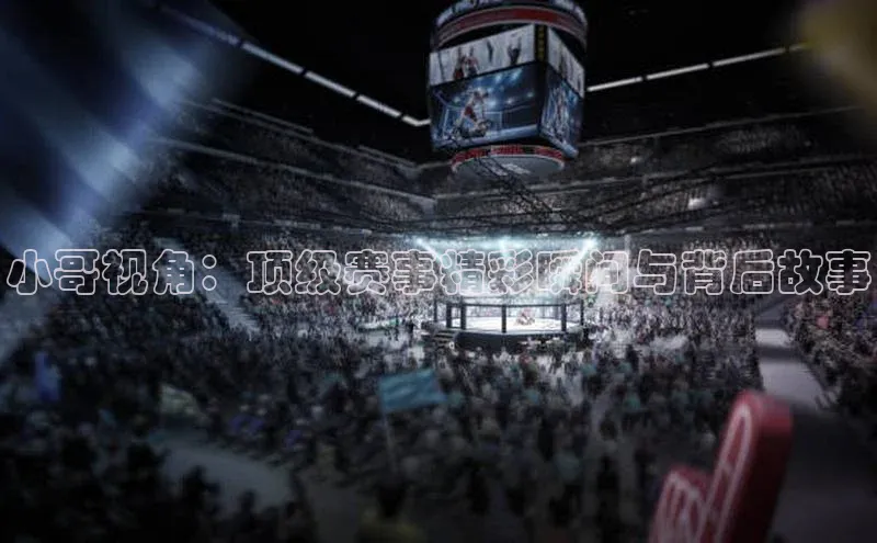 小哥视角：顶级赛事精彩瞬间与背后故事