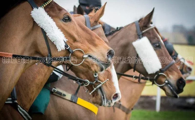 乐虎(唯一)官网