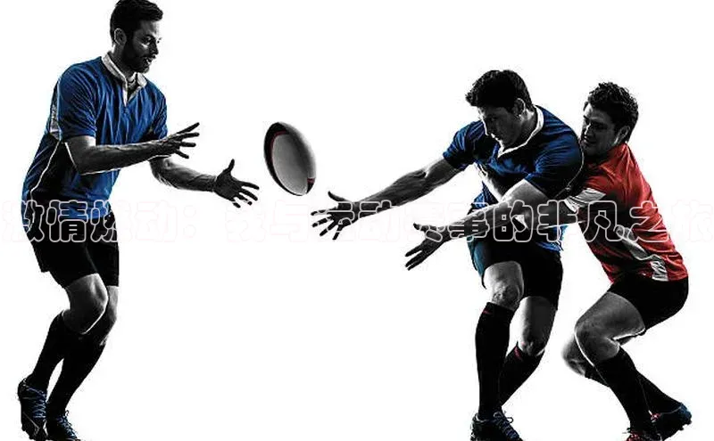 乐虎唯一官方网站入口