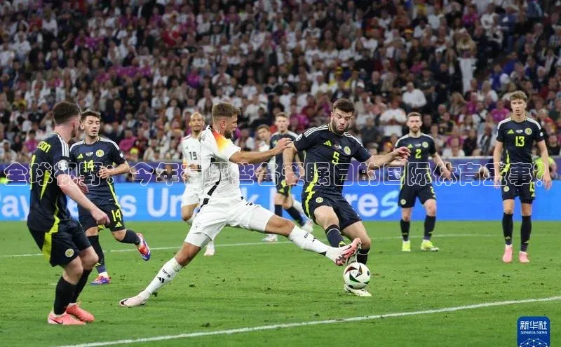 lehu66游戏官网入口