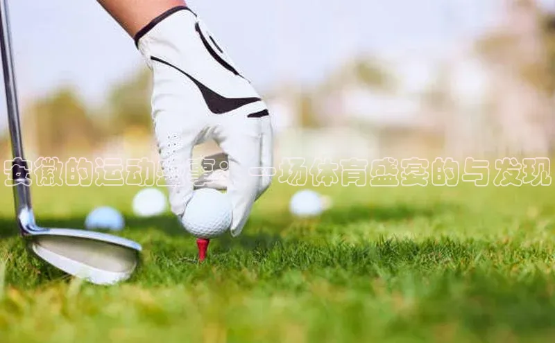 乐虎(唯一)官网