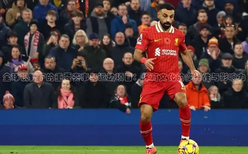 全球视野下的重要赛事与运动项目：体育文化的多样性与影响力